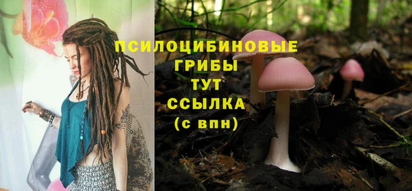 твердый Бугульма