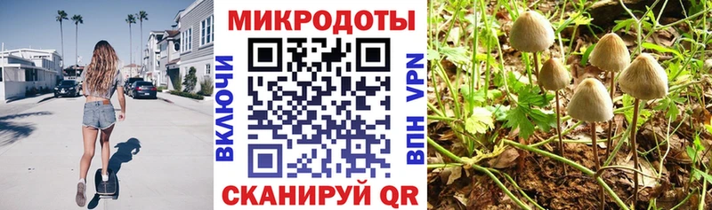 Галлюциногенные грибы MAGIC MUSHROOMS  Купить где  Усть-Илимск 